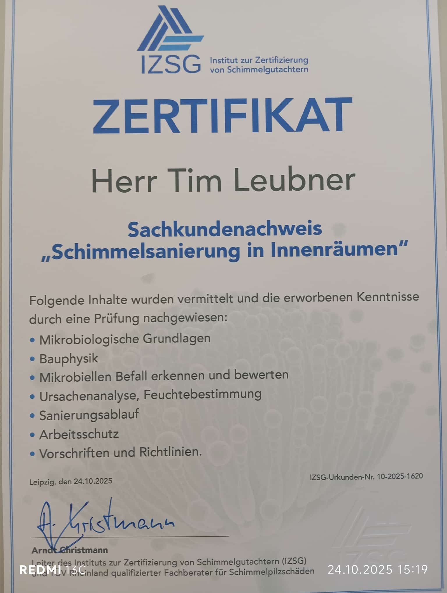 Schimmelsanierung Bild 1